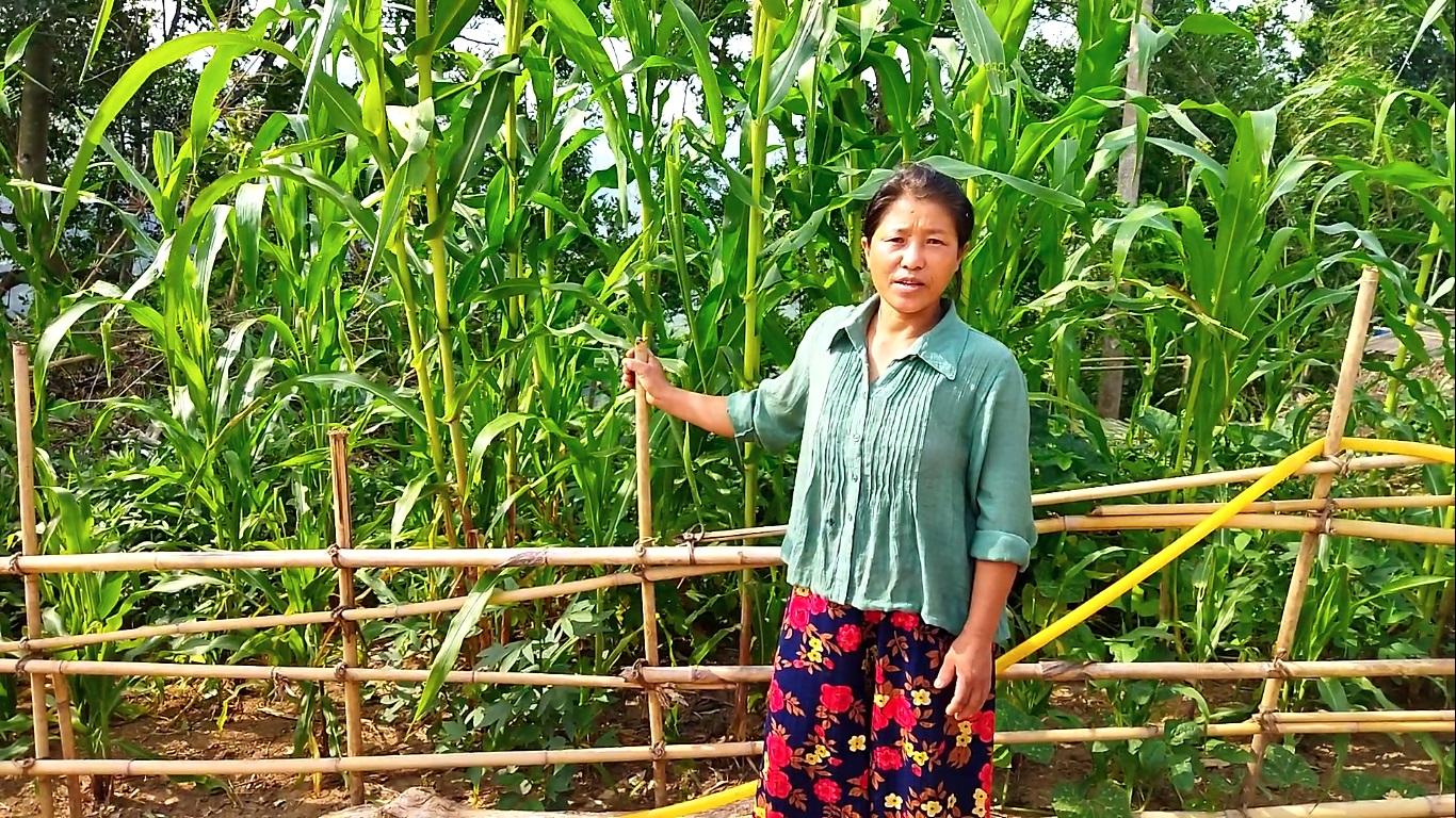 The refugees grow vegetables in a small plot of land surrounding their camp. However, they depend heavily on donation for food grains and other food items.